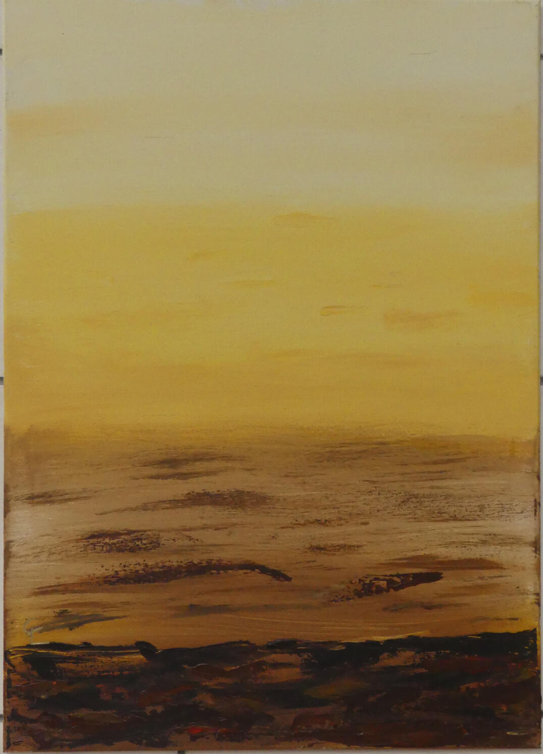 Paysage désertique