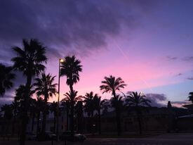 Barcelone 20