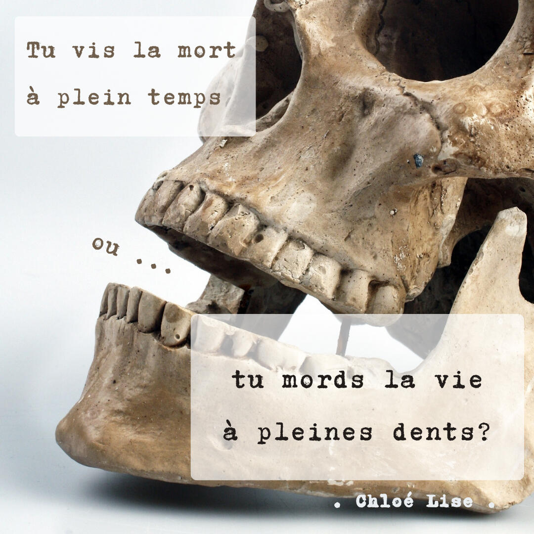 Tu vis la mort à pleines dents