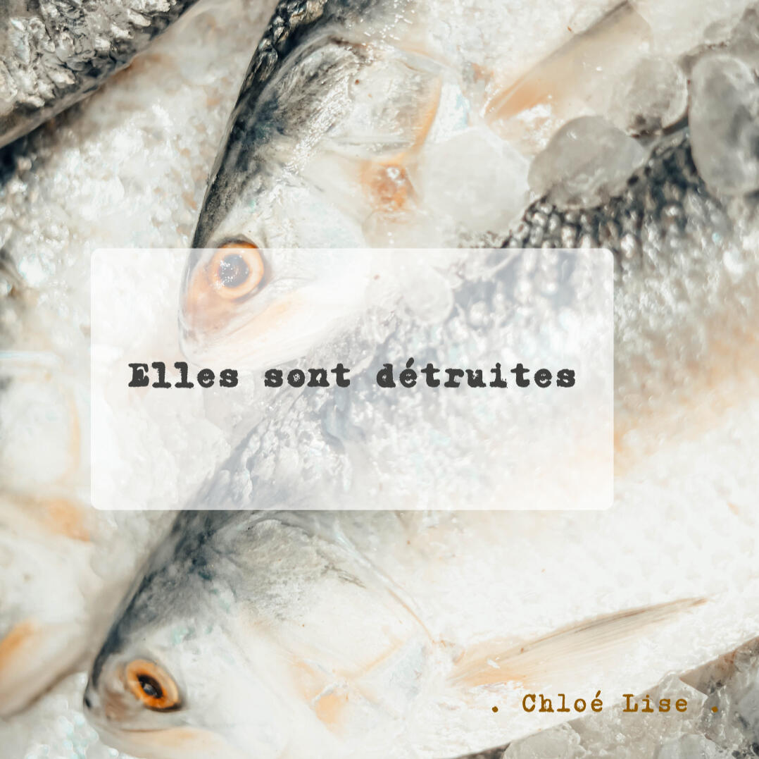 Elles sont détruites