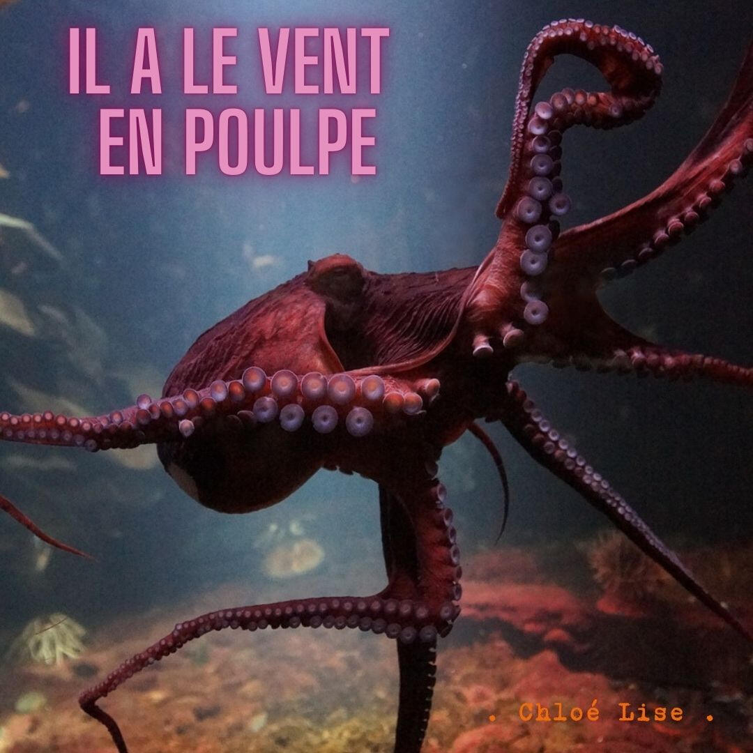 Le vent en poulpe