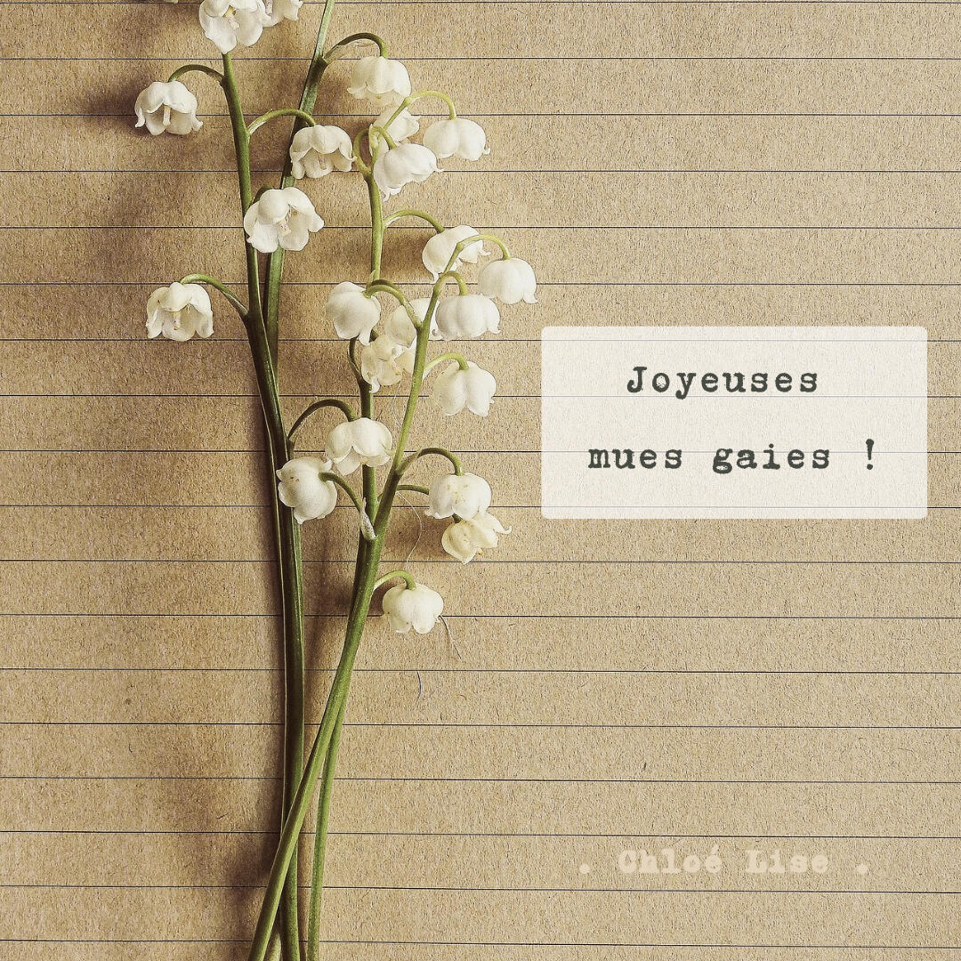 Joyeuses mues gaies