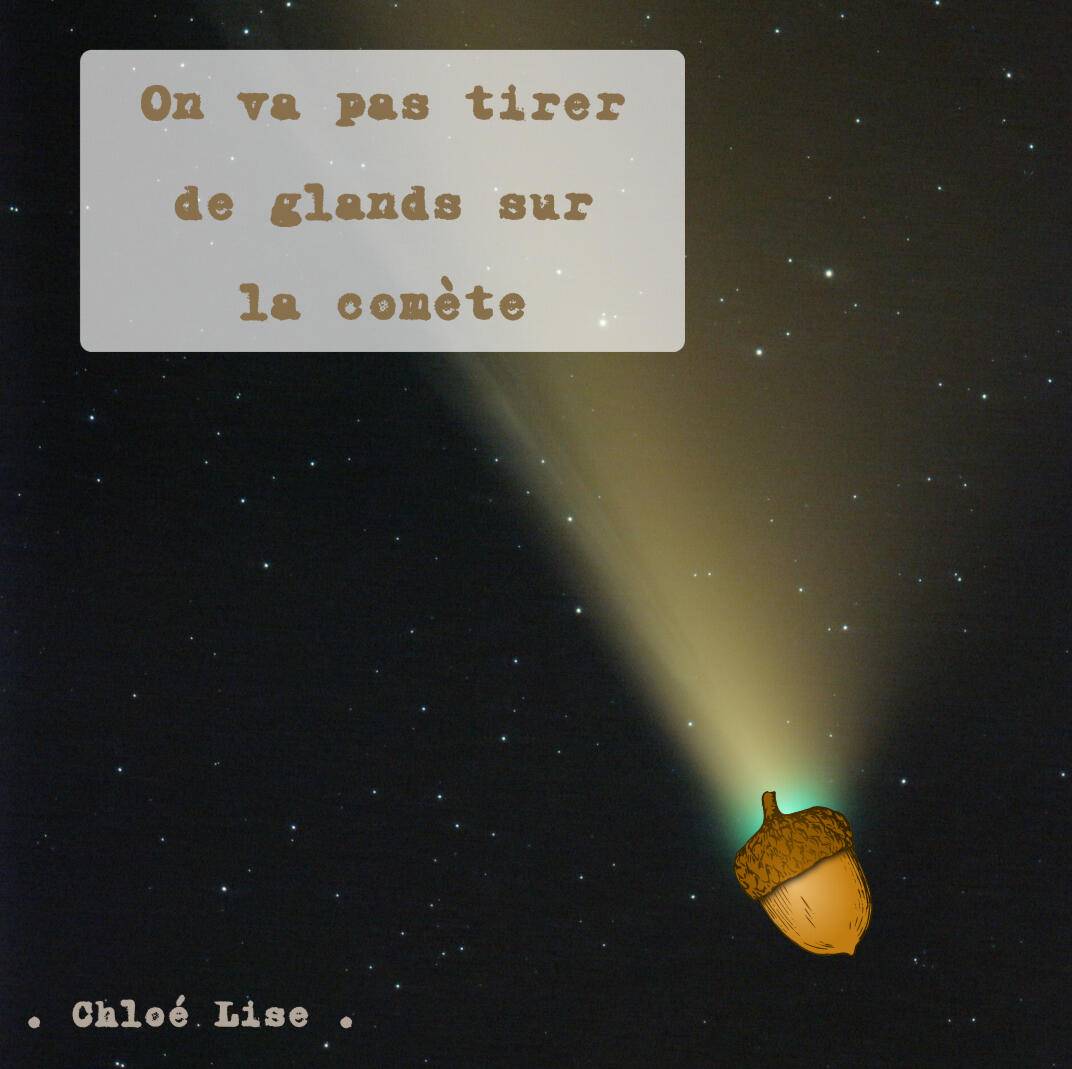 Tirer des glands sur la comète