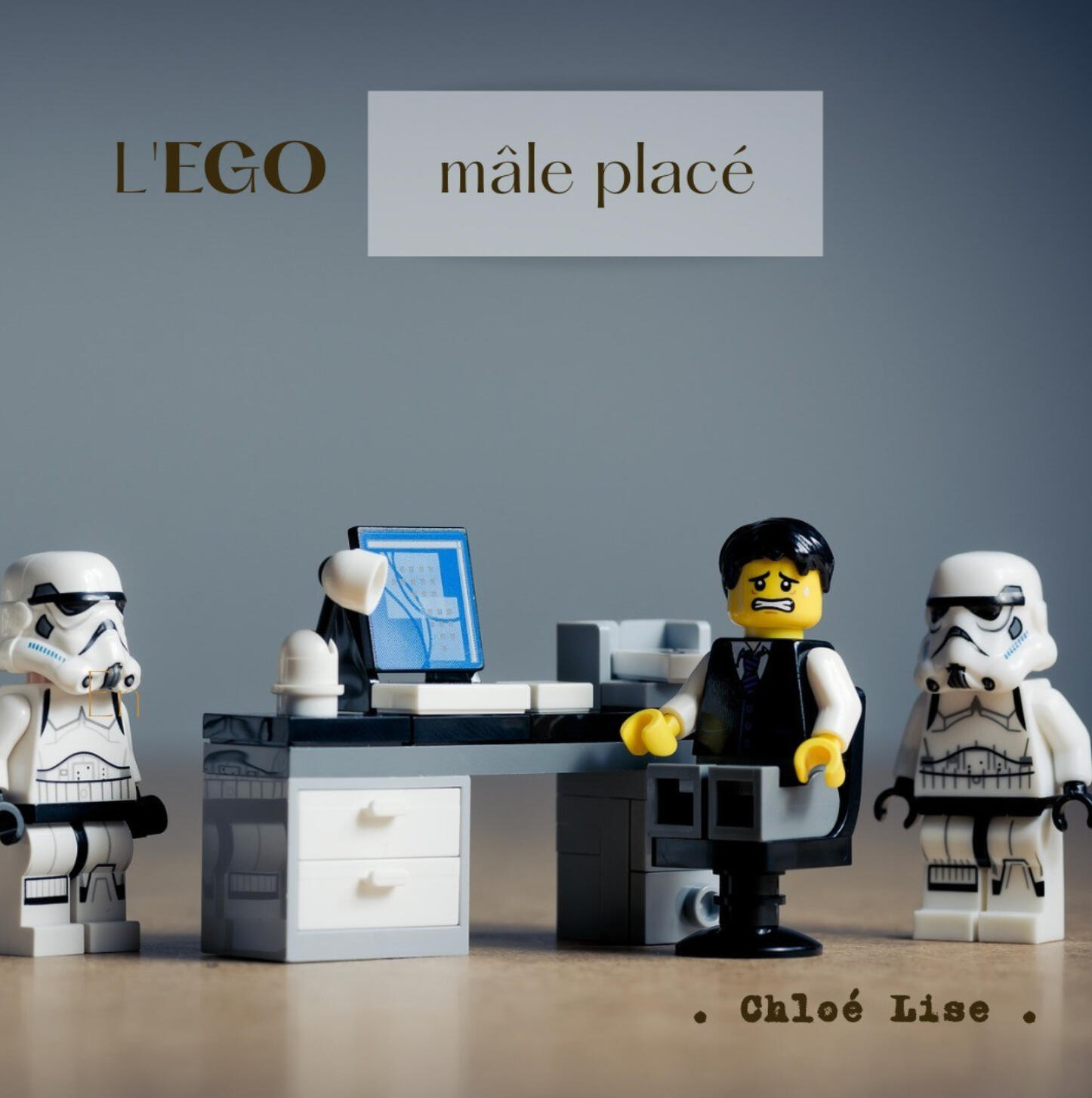 Lego mâle placé