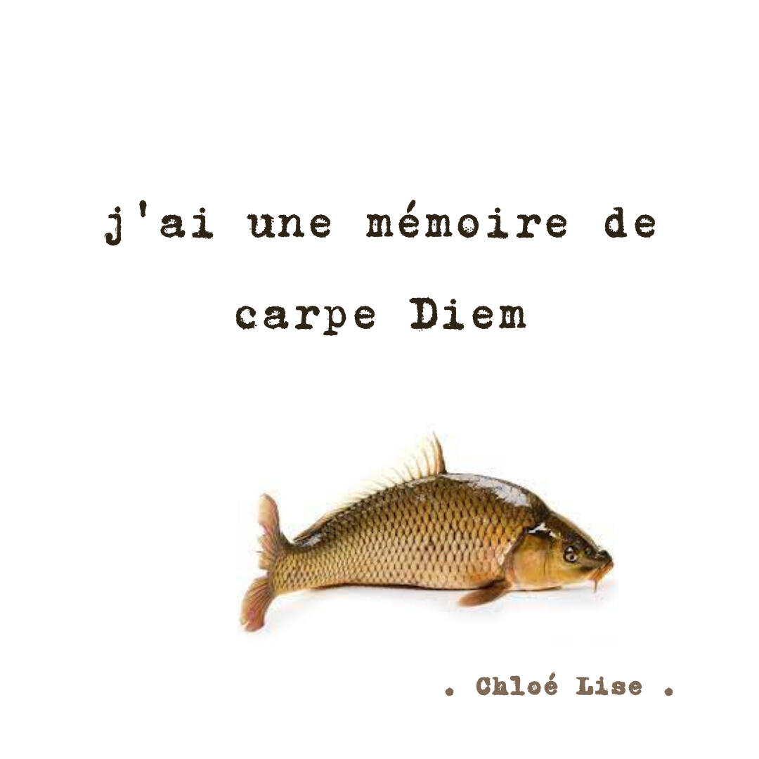 Carpe Diem