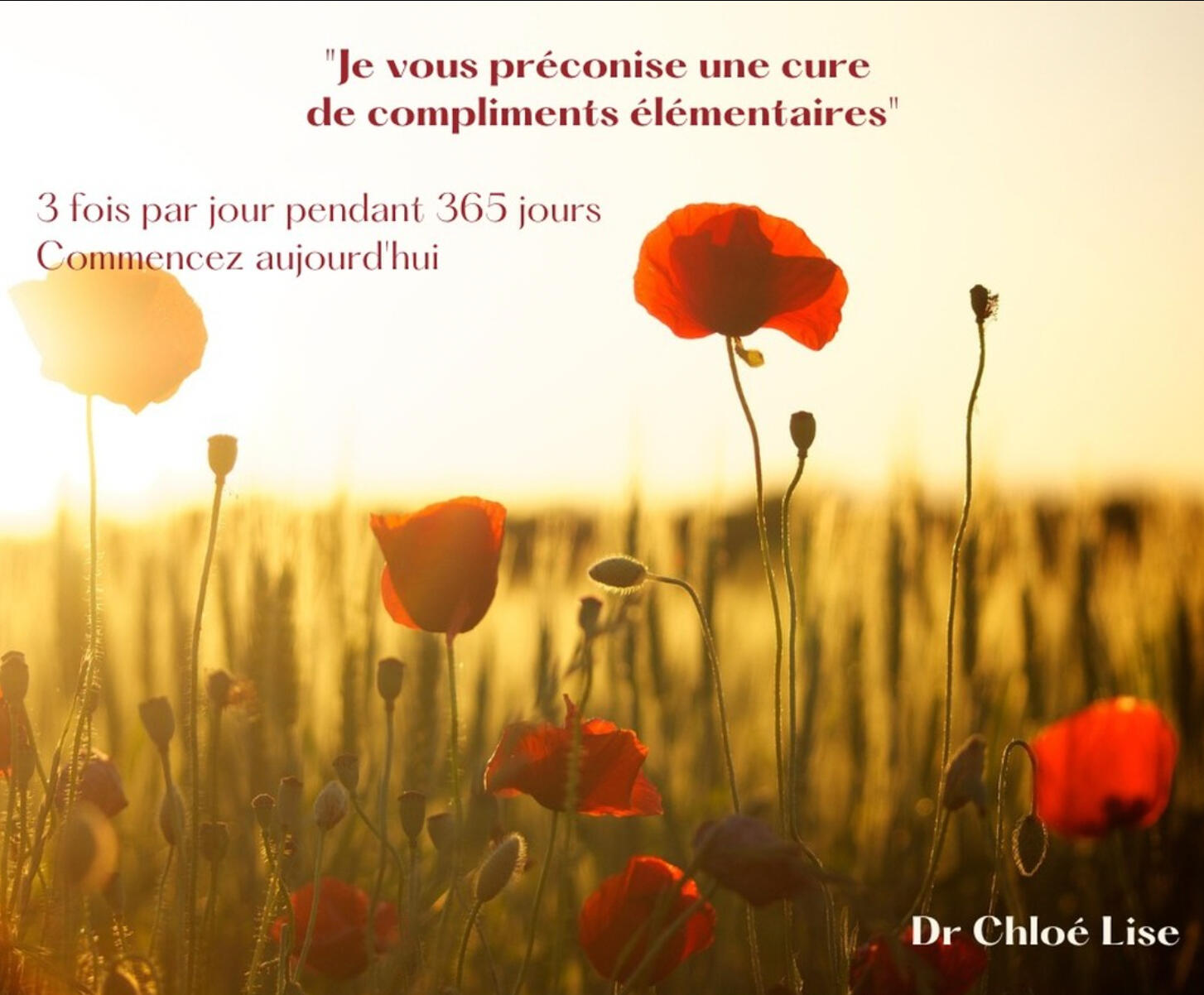 Compliments élémentaires