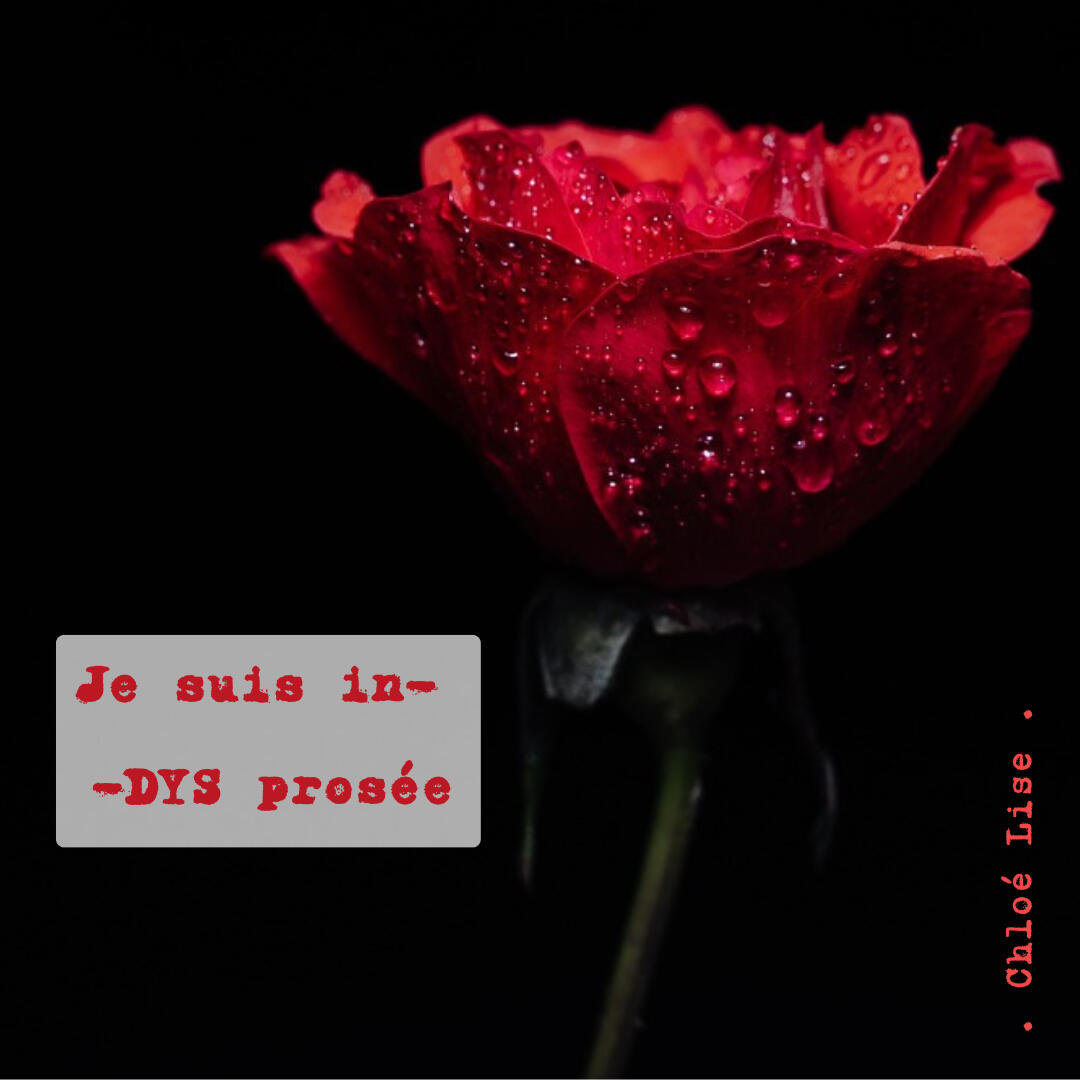 Je suis in dys prosée