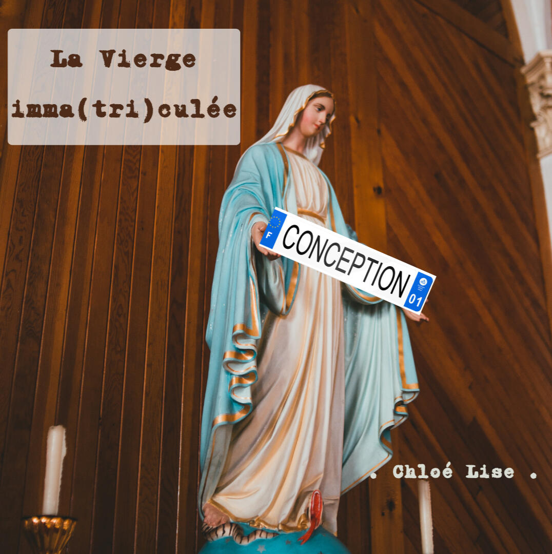 Vierge immatriculée conception