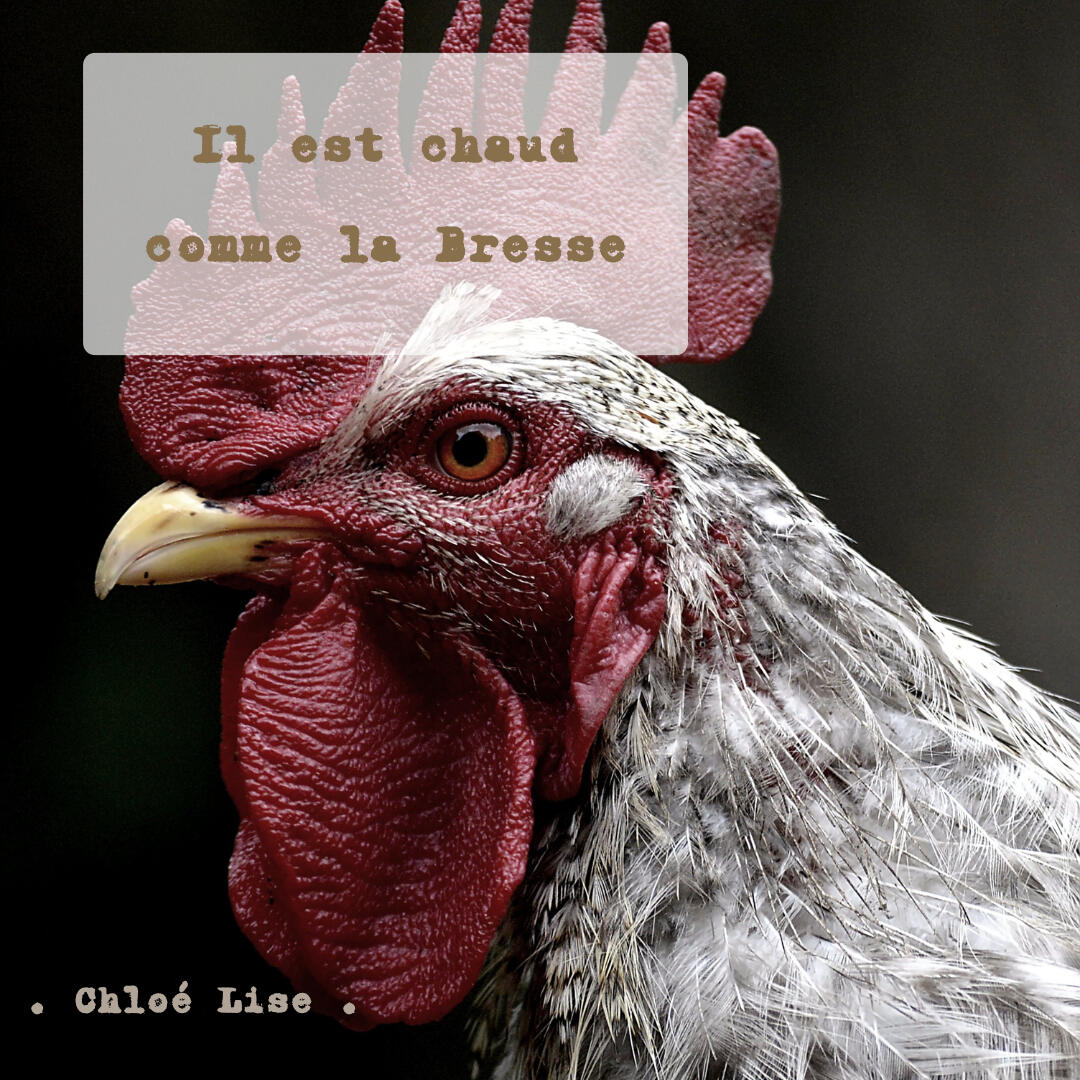 Il est chaud comme la Bresse