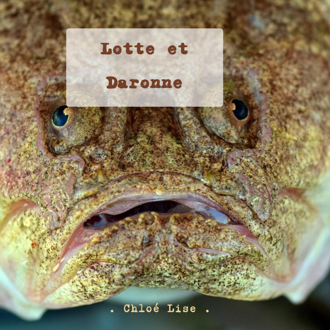 Lotte-et-Daronne