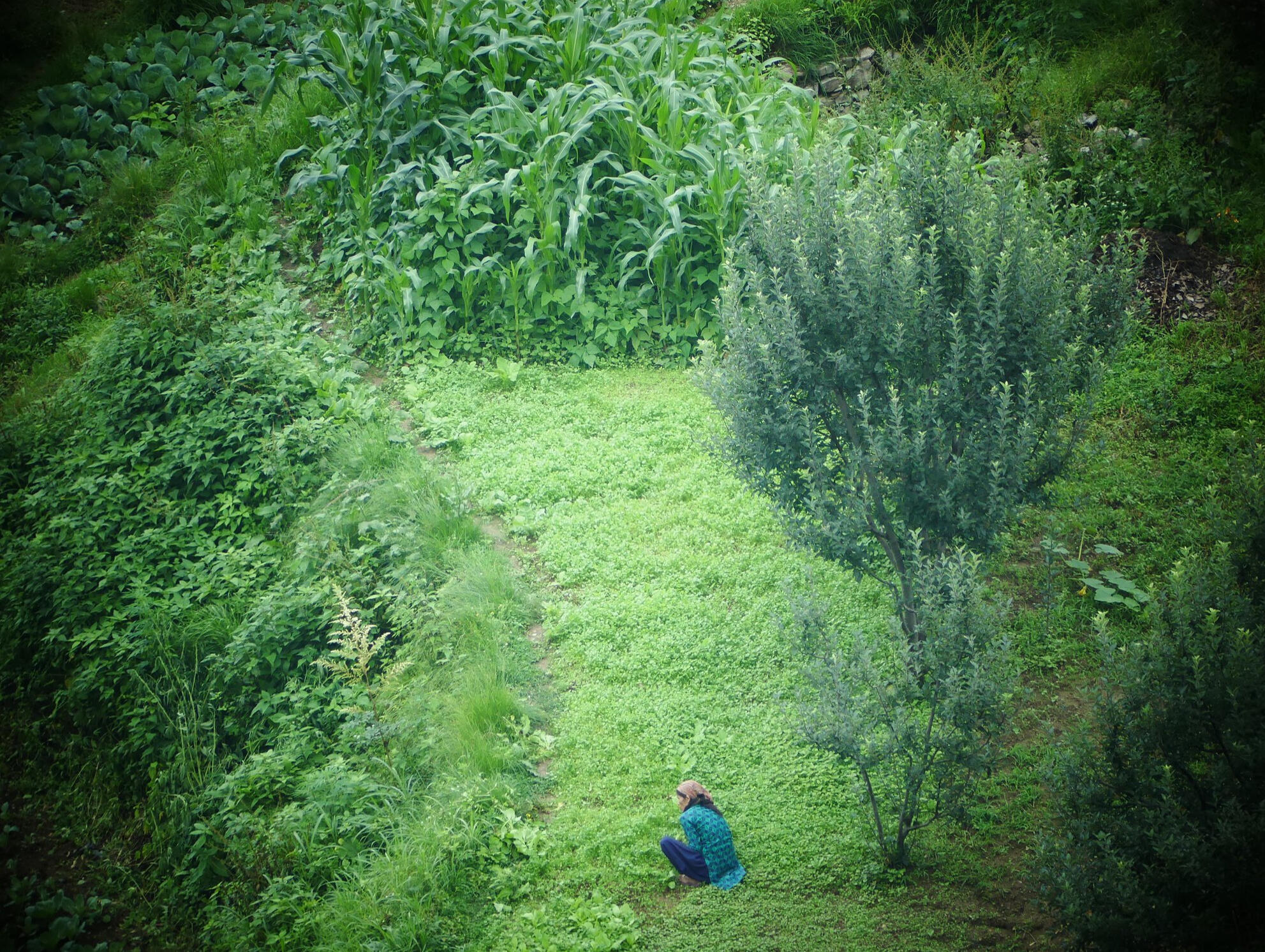 34 Montagnes Himalaya