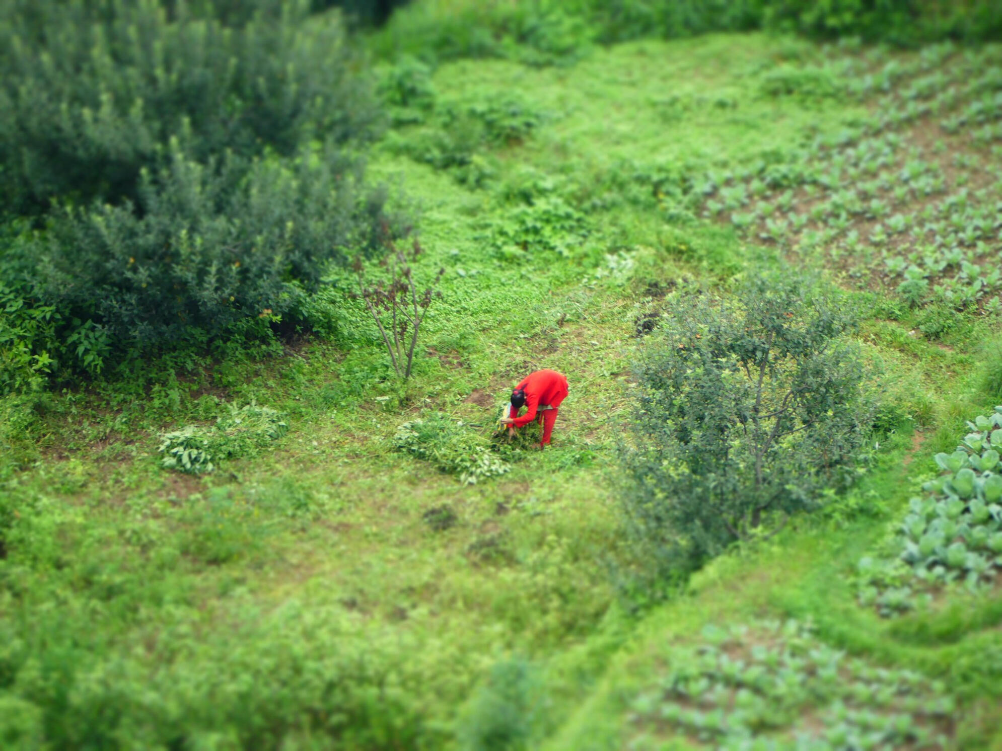 43 Montagnes Himalaya