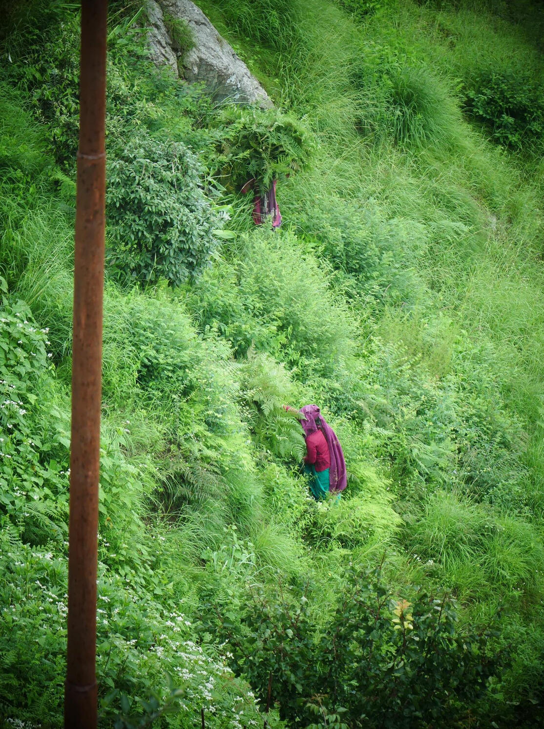 33 Montagnes Himalaya