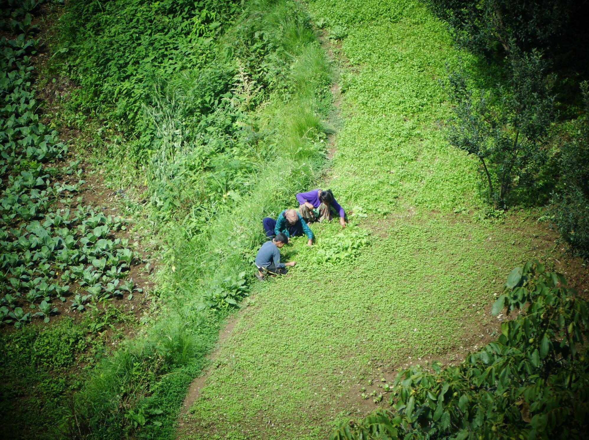 35 Montagnes Himalaya